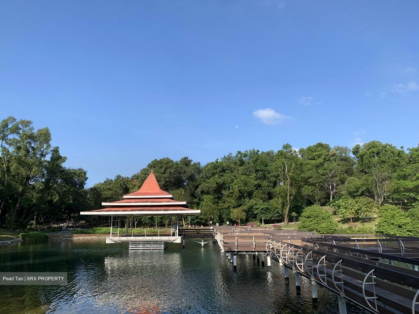 Caldecott Hill Estate (D11), Detached #583384031